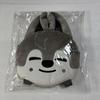 [USED] Stray Kids Wolf Chan Bang Chan Backpack