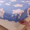 Fitted Sheet Home Bed Cover Summer Spring Winter Mattress Covers With Elastic (Without Pillowcase)