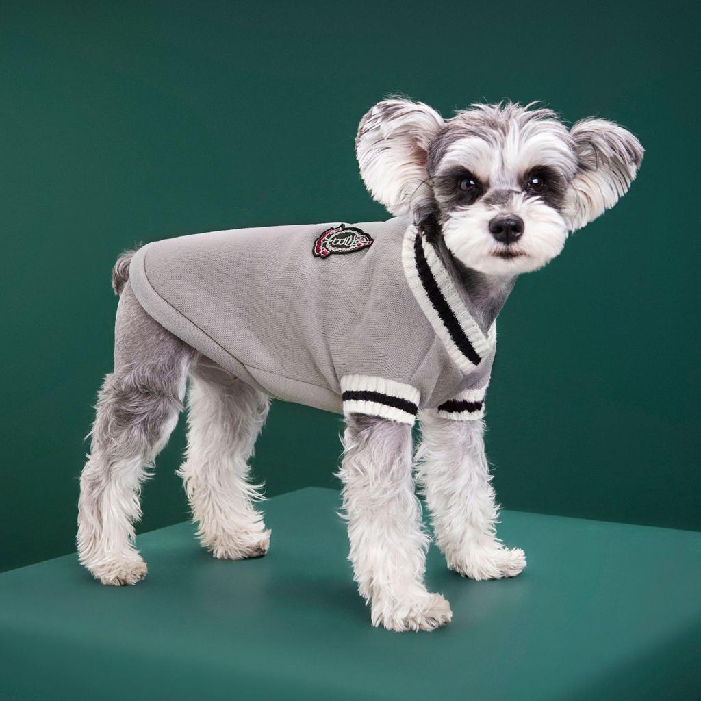 Autumn/Winter Korean Academy Style V-Neck Knit Plus Velvet Pet Hoodie for Cats & Dogs