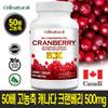 50x Highly Concentrated Canadian Cranberry 500mg 120 Capsules 4 Pcs Monthly 120 Tablets 1 Pcs