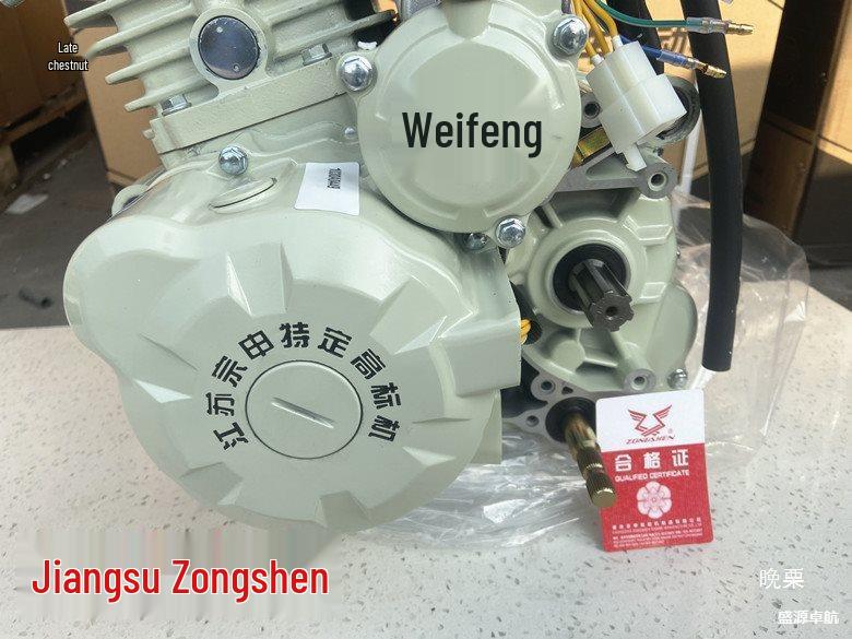 Compatible Engine Head for Jiangsu Three-Wheeled 150/200/300 Bingwei Xin Chaoba Weifeng Hanwei Motors