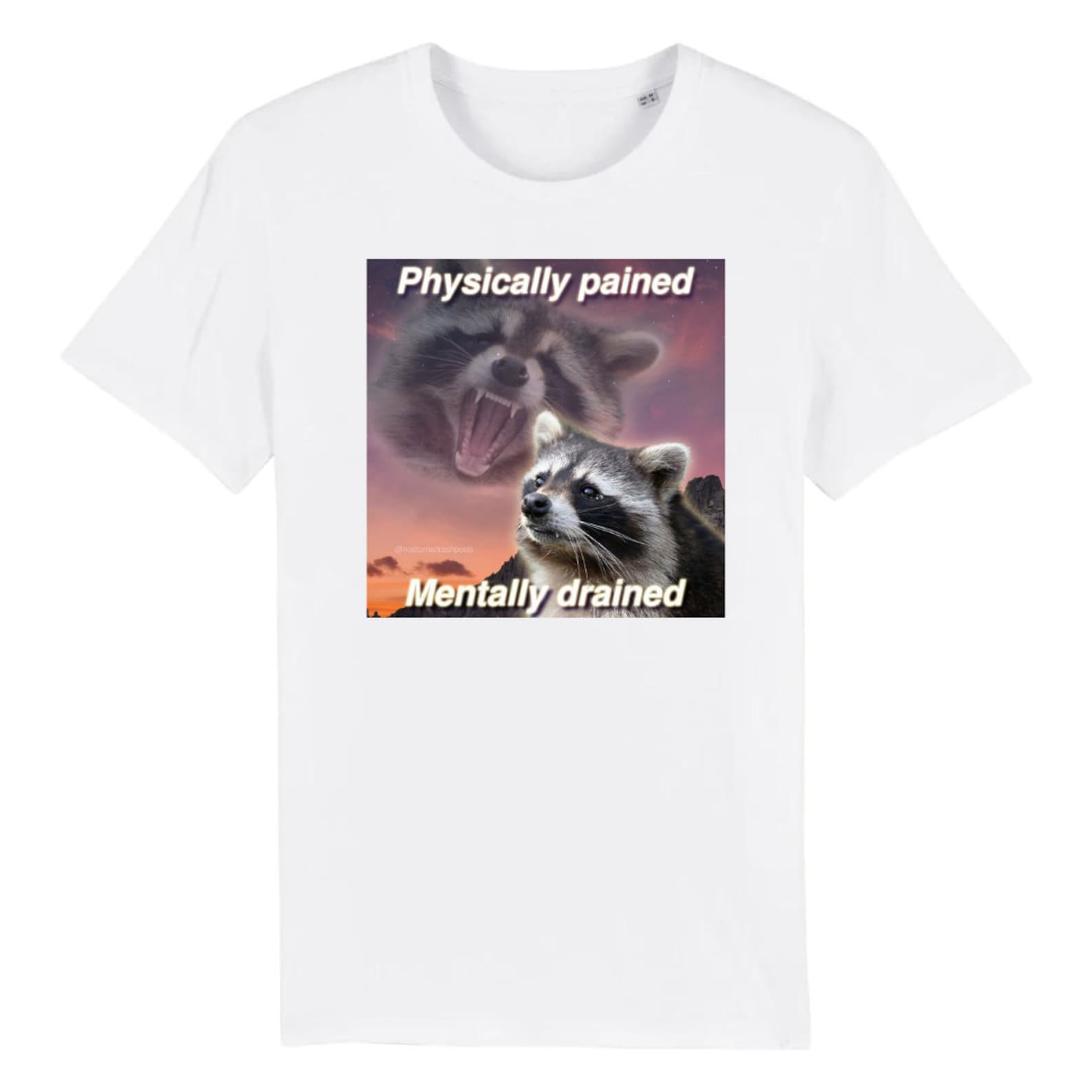 Physically Drained Mentally Pained Funny Raccoon Meme T-Shirt XL
