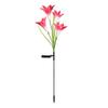 Solar Color-Changing LED Lily Flower Lantern - Outdoor Rainproof Decorative Lawn Light
