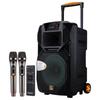 Portable Karaoke Bluetooth Speaker with Dual Wireless Microphones CN Plug (adapter Included)