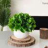 Artificial Bonsai Green Plants for Desk and Living Room Decoration