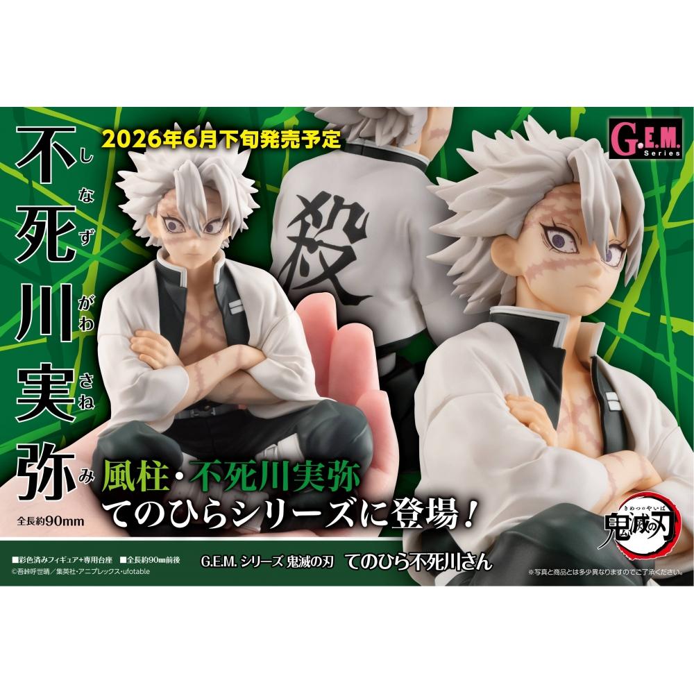 Megahouse Demon Slayer  Kimetsu No Yaiba G.e.m. Series teNohira Shinazugawa  Re 