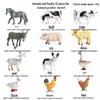 Wildlife Simulation Set: Gray Wolf, Hedgehog, Red Fox, Tree Frog, Wild Boar, Chipmunk, White-tailed Deer - Perfect Christmas Gift