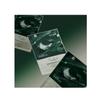 THE LAB BY BLANC DOUX Green Flavonoid 2.0 Mask 23g*10ea