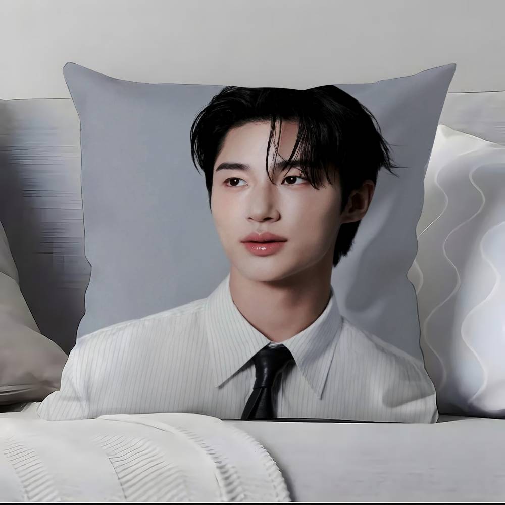 B-B-Byeon W-W-Woo-seok Pillow Case Pillowcase Soft Skin Friendly & Comfortable With A Hidden Zipper
