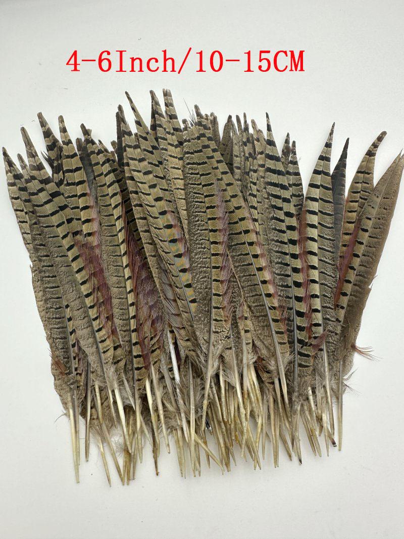 

Натуральный фазан 50 шт. Хвостовые перья Шляпы Головной убор Центральные элементы для свадебных украшений Перьевые плюмажи Вечеринка Танцы 50pcs