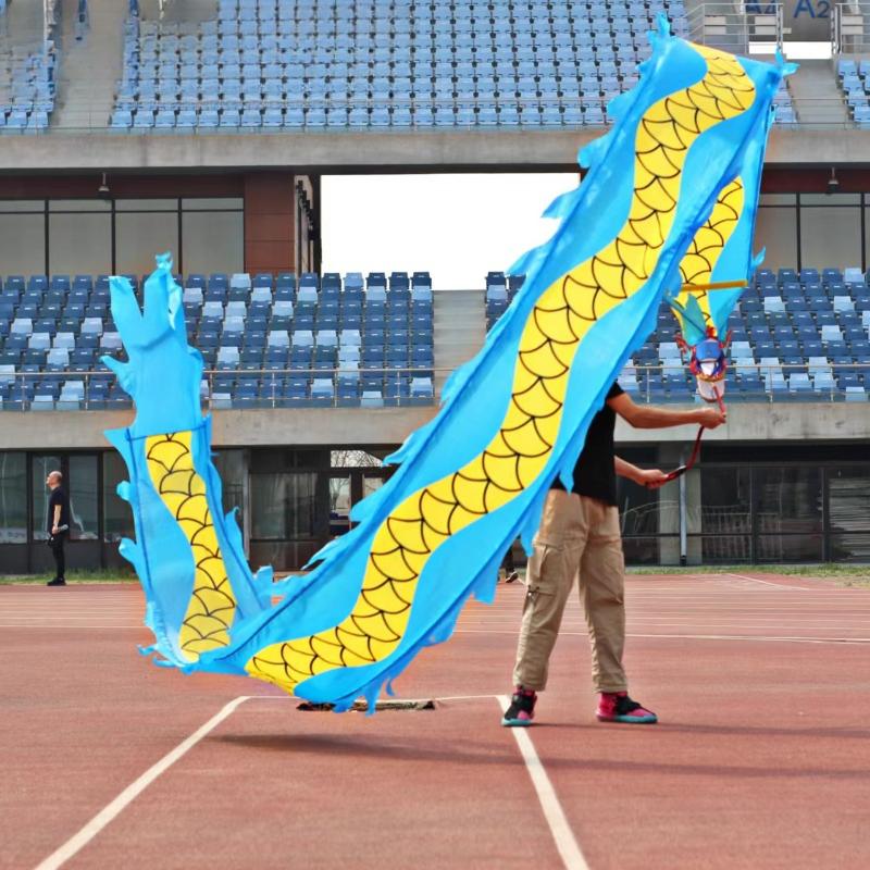 Dragon Dance Ribbon with Head Chinese New Year Gift Festival Performance Props Outdoor Fitness Wu Long Products
