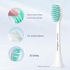 Philips Electric Toothbrush Replacement Heads