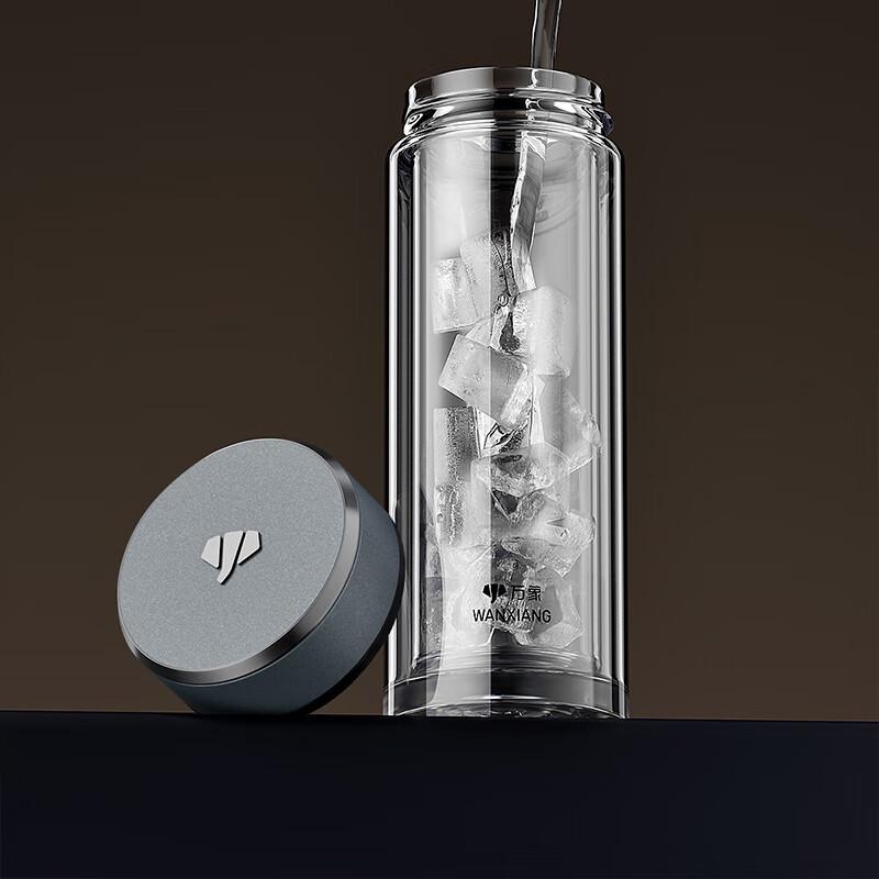 Wanxiang Double-Wall Glass Tea Infuser Bottle