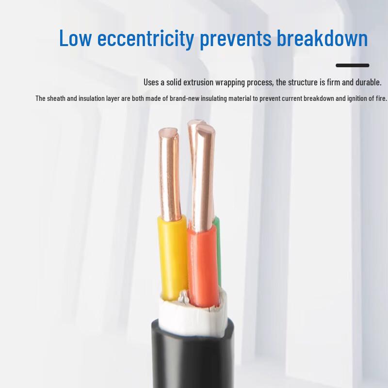 Zhu Chuang Premium 10mm² 3-Core Electrical Cable