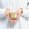 PORTER FOIL Coin Case [Porter] 195-01334 Silver/11