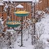 Bird Feeder And Bath Bird Feeder with Four-Prong Stake Outdoor Bird