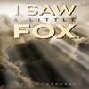 I Saw a Little Fox by David Bowerbank Hardback Book 9781035851621