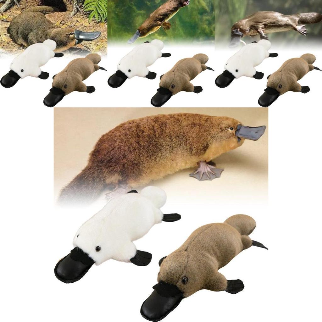 Soft And Cuddly Platypus Plush Toy For Kids Ideal Comforting Buddy And Car Decor