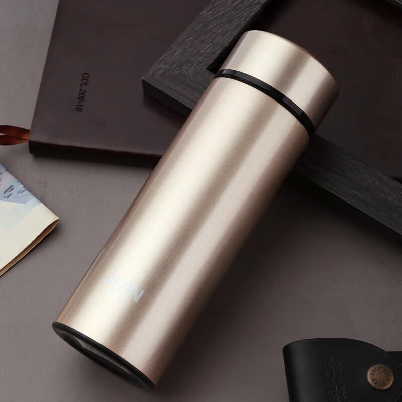FUGUANG Insulated Stainless Steel Thermos Mug with Tea Filter