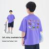 Little Pig Tony Boys' Quick-Dry Cooling Casual T-Shirt