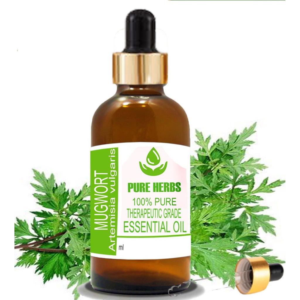 Pure Herbs Mugwort 100% Pure & Natural Artemisia Vulgaris Essential Oil UKZA 612