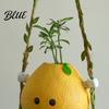 Decorative Vine Braided Lanyard Cute Swinging Lemon Wall Hanging Ornament Smiling Figurine Resin Swing Creative Window Sill Decor Decor Boho
