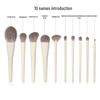 10-Piece Soft Synthetic Makeup Brush Set: Includes Powder & Highlight Brushes, Portable & Versatile.