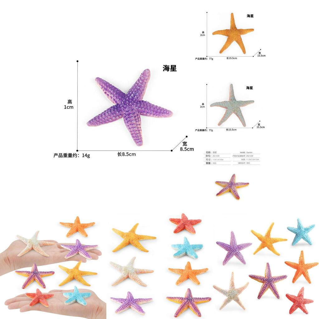 Realistický PVC model hvězdice Dekorativní mořské stvoření Plážová hračka Pro domácí dekoraci