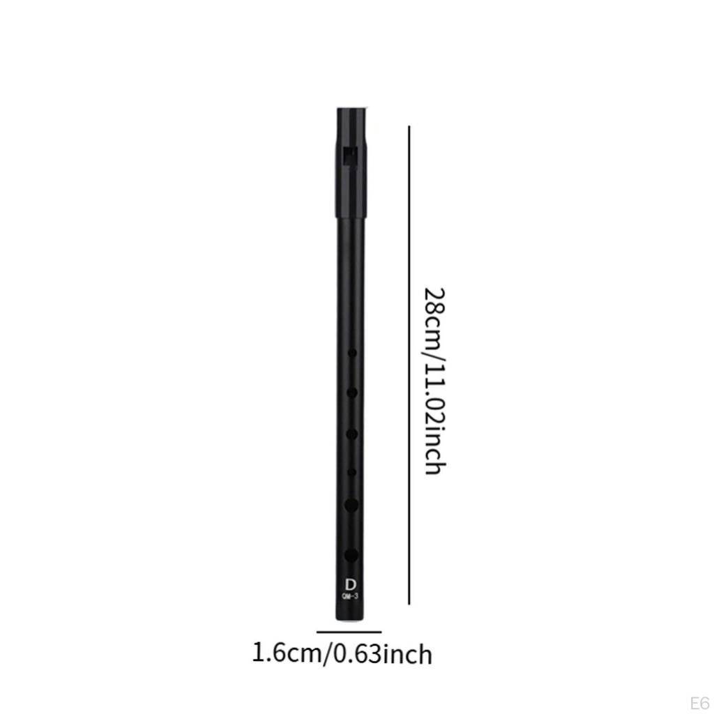 Whistle Flute Whistling Easily Clean Instrument Birthday Gift Portable Penny 6 Hole