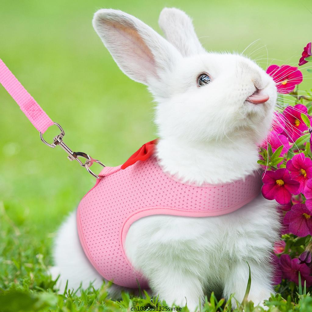 Rabbit Harness Soft Mesh Small Pet No Pull Comfort Padded Vest for Bunny Guinea Pigs Squirrels and Other Small Animal