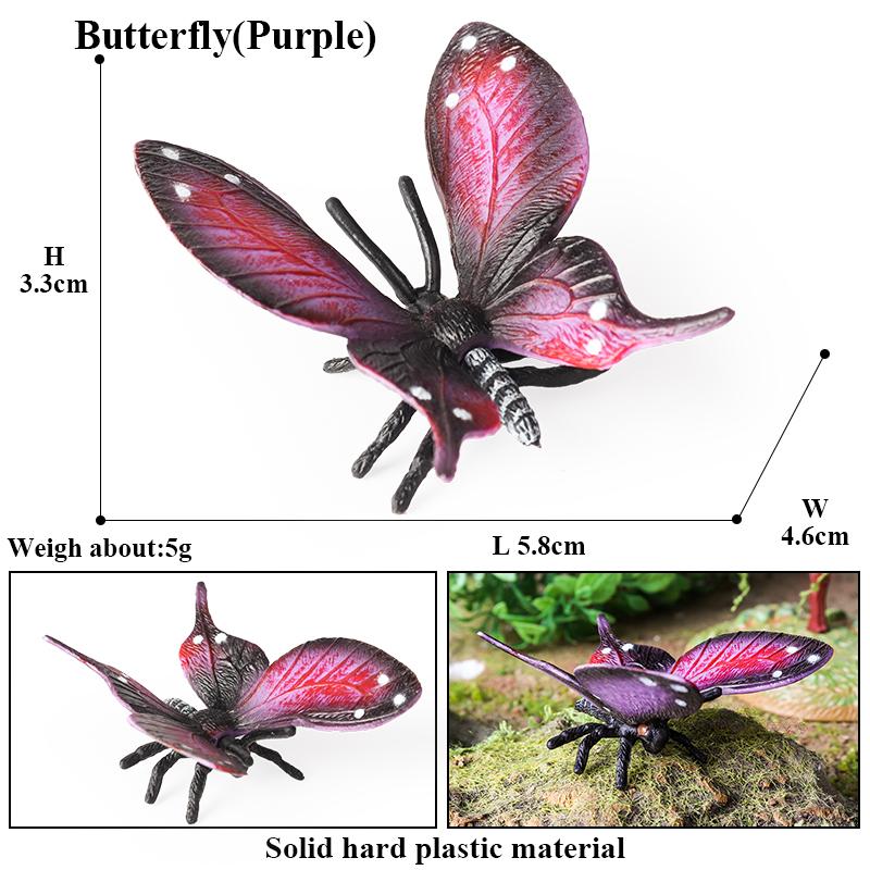 Oenux Insect Animals Model Monarch Actias Ningpoana Swallowtail Butterfly Growth Cycle Garden Figurine Education Kid Toy Gift