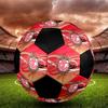 SIZE 5 Deportivo Toluca F.C. Soccer Ball Colorful All Ages Machine Stitched PVC Competition Ready Durable High-Bounce