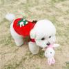 1pc Christmas Dog Clothes Santa Costume for Puppy Chihuahua Yorkshire Pet Cat Clothing Jacket Coat Costume New Year