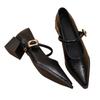 Women's Black/Coffee Pointed Toe Mary Jane Shoes Chunky Heel One-Strap Dress Pumps Classic Retro Office Ladies Footwear