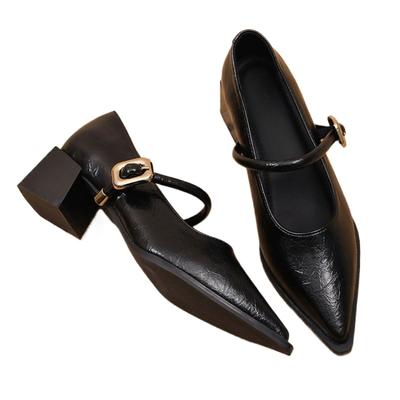 Women's Black/Coffee Pointed Toe Mary Jane Shoes Chunky Heel One-Strap Dress Pumps Classic Retro Office Ladies Footwear
