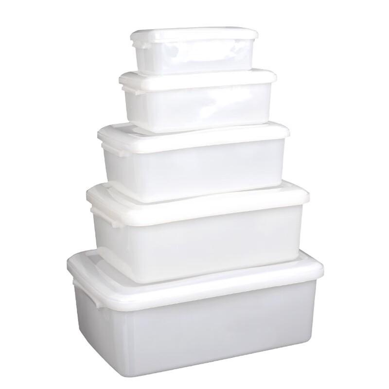 Plastic Rectangular Food Storage Container with Lid