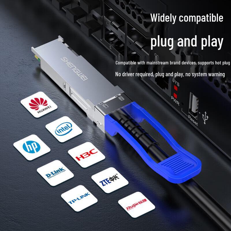 Shengwei 100G DAC High-Speed Stacking Cable