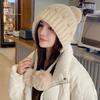 Women's Outdoor Leisure Cute Hairball Pullover Hat Autumn and Winter Knitted Windproof Warm Wool Hat
