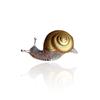 1Pair Vintage Two Tone Snail Stud Earrings Insect Earrings for Men Women Temperament Exquisite Ear Jewelry Accessories Gifts