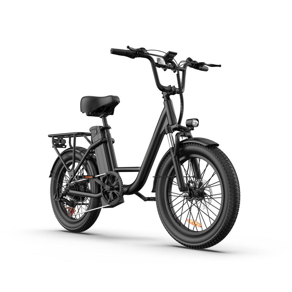 URLIFE E20 Multi Terrain E-Bike 48V13Ah Battery 500W Motor 20 Inch Fat Tires 25KM/H Top Speed 65KM Range City Commuting Electric Bicycle