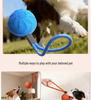 PetSmart Electric Dog Toy: Waterproof, Bite-Resistant E-TPU Bouncing Ball with Rope for Interactive Teething