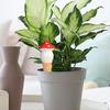 Mushroom Plant Watering Stakes 4X Automatic Plant Waterers For Vacations Watering Planter Insert Irrigation Dripper Holiday