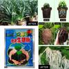 5 Pezzi Polvere per Radicazione Rapida Agente Radicante Rapido per Piante Ormone Crescita Radici Germinazione Semi Piantine Per la Maggior Parte delle Piante Forniture da Giardino