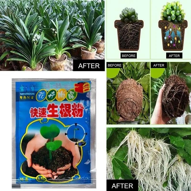 5 Pezzi Polvere per Radicazione Rapida Agente Radicante Rapido per Piante Ormone Crescita Radici Germinazione Semi Piantine Per la Maggior Parte delle Piante Forniture da Giardino