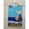 Thailand On a Scooter Tourism Metal Poster, Vintage Travel Wall Art Decor