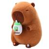 AI Capybara Plush Toy: Interactive Dialogues with Deepseek Doubao AI