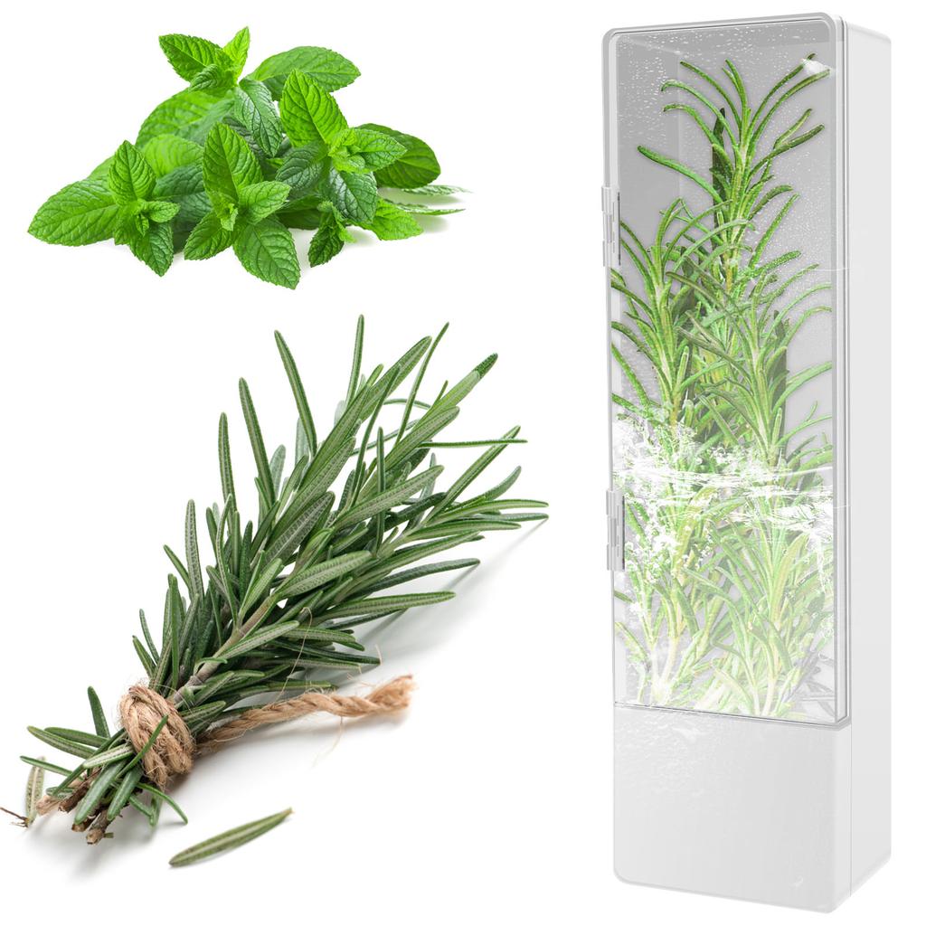 Herb Saver for Refrigerator Tall Shape Herb Keeper with Clear Window Cilantro Containers Fresh Herb Keeper Herb Saver Container