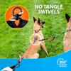 Explosion Proof Impact Elastic Buffering Adjustable One To Two Double Dog Leashes Dog Walking Accessories for Small Dogs