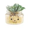 Artificial Green Diameter X Height Plant, 10.5cm 9.5cm