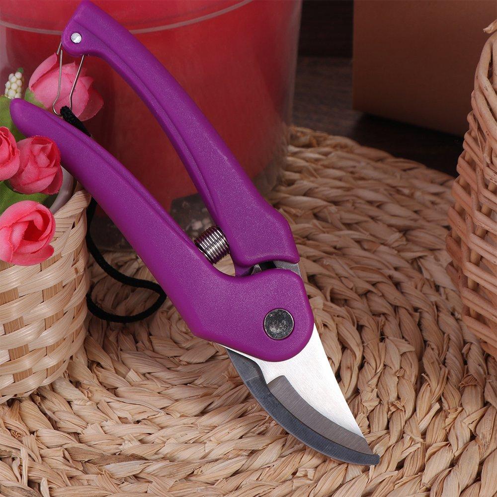 

Tools Fruit Picking Shears Branch Shears Pruning Shears Tree Trimmers Garden Scissors Hand Clippers